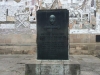 Bilder vom Senf 004