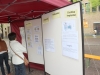 Maikaeferfest-30_bearbeitet-1.jpg