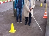 Maikaeferfest-88_bearbeitet-1.jpg
